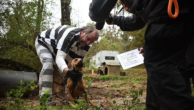 Aspca Retrieves Remaining Dogs At Suspected Dog Fighting Farm Mississippi S Best Community Newspaper Mississippi S Best Community Newspaper